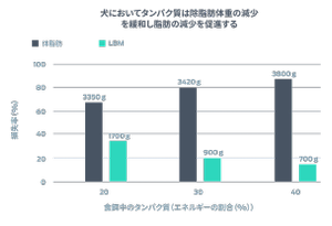 犬においてタンパク質は LBM 減少を緩和し、脂肪の減少を促進します。この表は、減少率（体脂肪と除脂肪体重）と食餌中のタンパク質の % を示しています。食餌中 20% のタンパク質では、3350 g の体脂肪と 1700 g の LBM の減少がみられました。食餌中 30% のタンパク質では、3420 g の体脂肪と 900 g の LBM の減少がみられました。食餌中 39% のタンパク質では、3800 g の体脂肪と 700 g の LBM の減少がみられました。