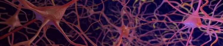 far avanzare il cervello