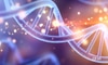 DNA