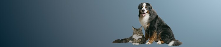 scienza della nutrizione