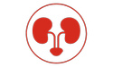 red kidneys icon