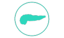 teal canine pancreas icon