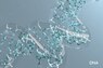 Purina Institute のオミクス-DNA セクション