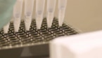 purina-institute-dna-abschnitt