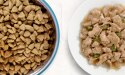 gamelle de croquettes sèches et assiette de nourriture humide pour chats