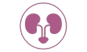 feline kidneys icon