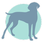 dog graphic
