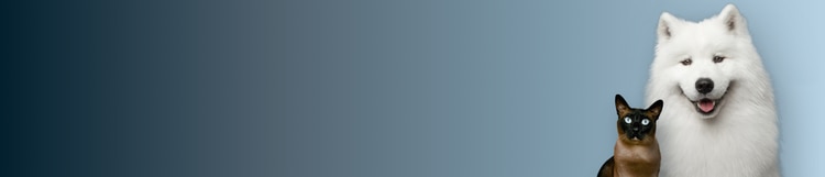 Events banner