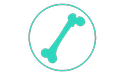 teal canine bone icon