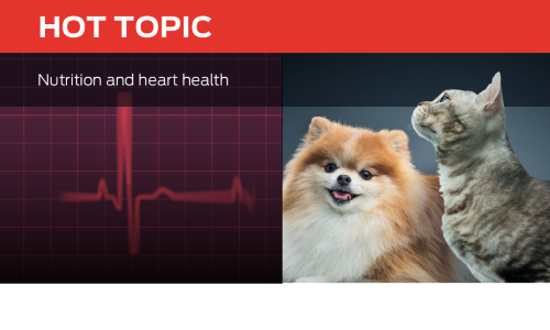 Nutrition and Heart Health