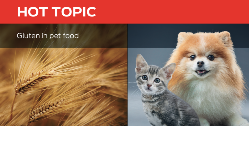 Gluten in Pet Food