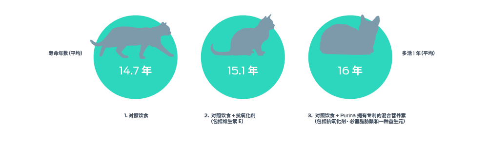 猫科动物生命年限的量表，从平均到+1额外年限（平均），量表上有3个点。1. 对照组 - 14.7年。2. 对照组+抗氧化剂包括维生素E--15.1年。3. 对照组+普瑞纳专有的抗氧化剂、必需脂肪酸和益生菌的混合营养素--16岁。