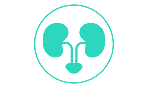 犬の慢性腎臓病（CKD）