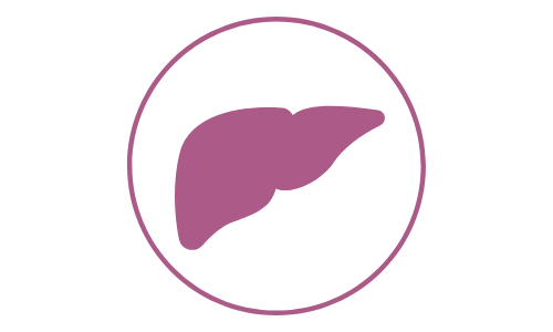 Colangitis Felina