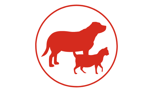 Fettleibigkeit (Adipositas) bei Hunden und Katzen