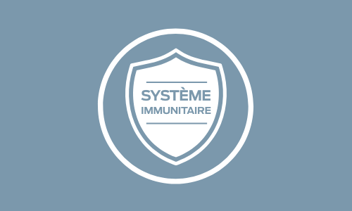 Soutenir Le Développement Du Système Immunitaire Du Chiot