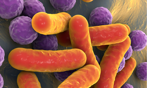 Control Del Microbioma Intestinal