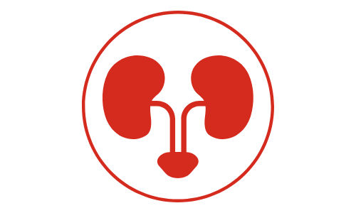 犬と猫のタンパク質喪失性腎症