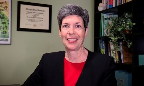 Cómo Puede El Equipo De Atención Médica Veterinaria Abordar Las Preguntas Sobre Nutrición
