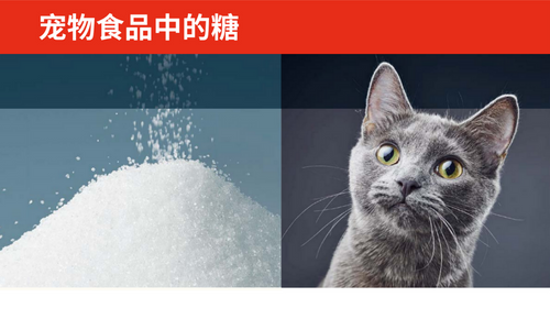 宠物食品中的糖