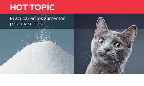 El Azúcar en Los Alimentos Para Mascotas
