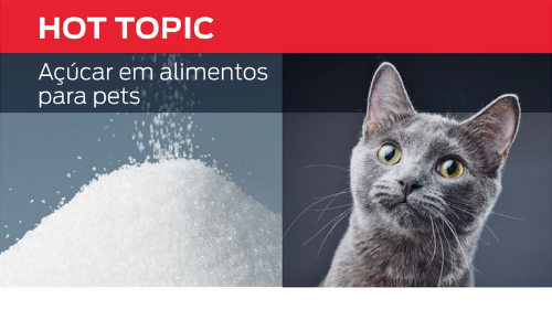 Açúcar Em Alimentos Para Pets