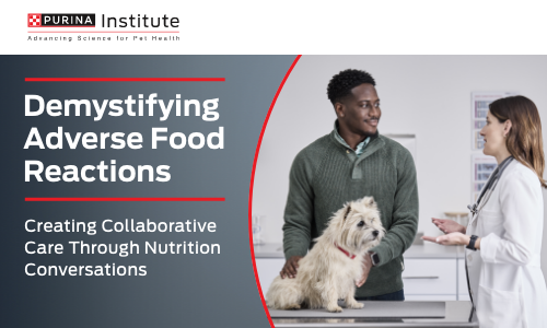Demystifying Adverse Food Reactions