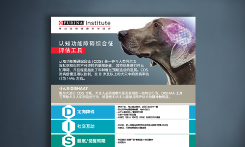 DISHAA 评估工具