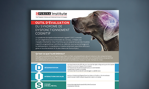 Outil D'évaluation DISHAA