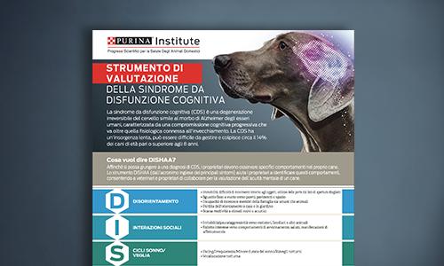 Strumento di valutazione DISHAA
