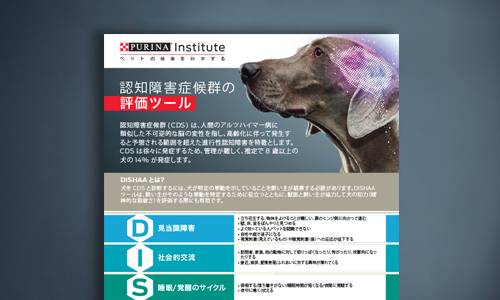 DISHAA 評価ツール