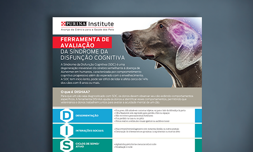 Ferramenta De Avaliação DISHAA