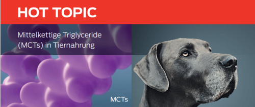 Mittelkettige Triglyceride (MCTs) in Tiernahrung