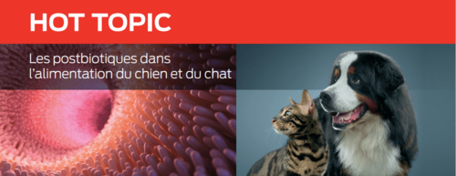 Les postbiotiques dans l’alimentation du chien et du chat