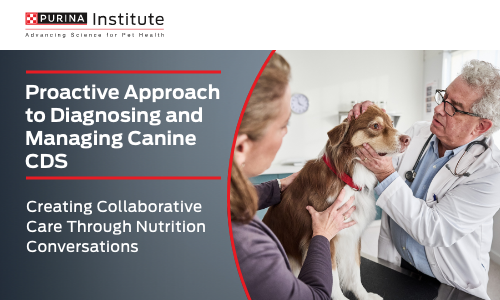 Proactive Approach to Diagnosing and Managing Canine CDS