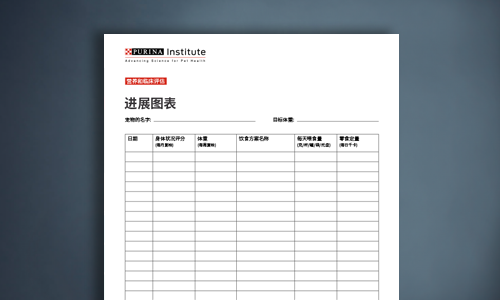 身体状况系统进展图表（猫）