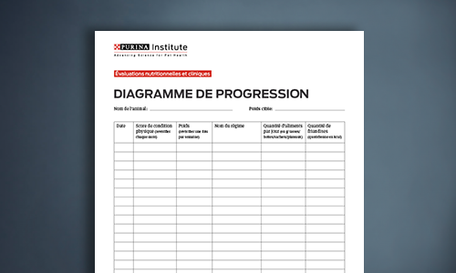 Diagramme De Progression De La Condition Physique Chat