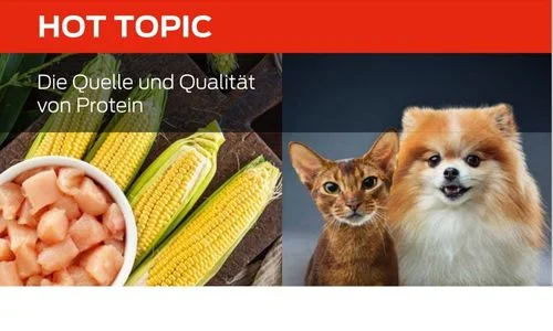 Die Quelle und Qualität von Protein