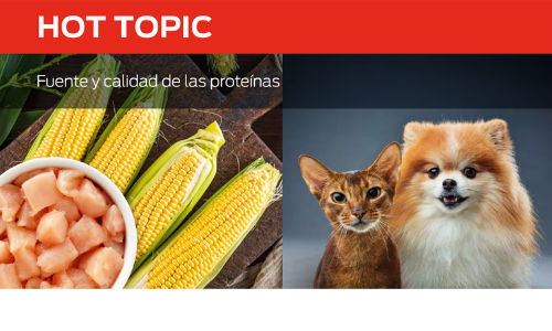 Fuente Y Calidad De Las Proteínas
