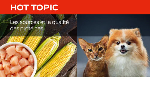 Les Sources Et La Qualité Des Protéines