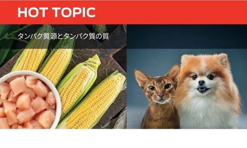 タンパク質源とタンパク質の質