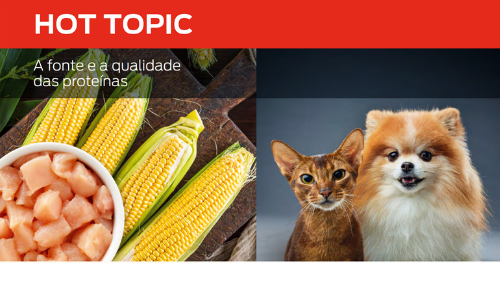 A Fonte E a Qualidade Das Proteínas