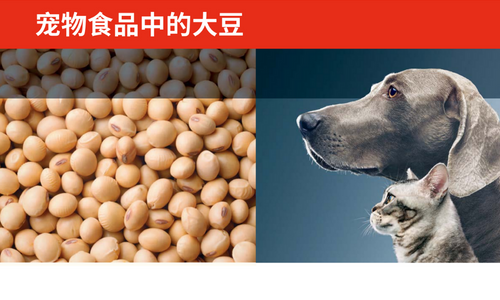 宠物食品中的大豆