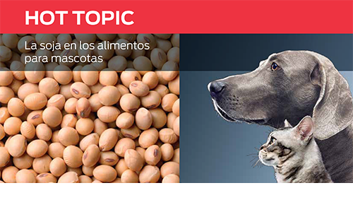 La Soja en Los Alimentos Para Mascotas
