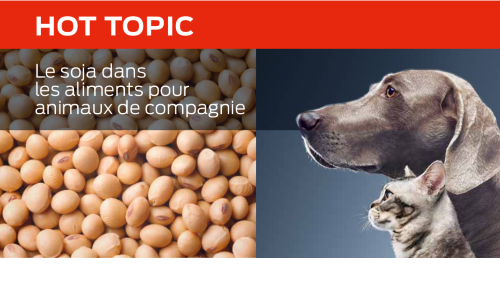 Le Soja Dans Les Aliments Pour Animaux De Compagnie