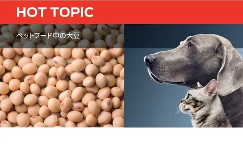 ペットフード中の大豆