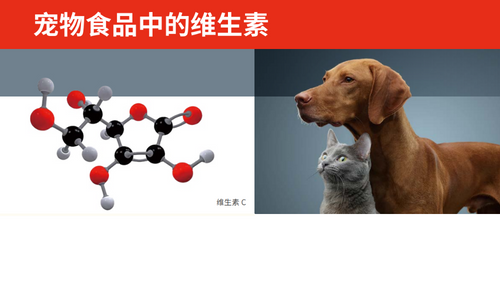 宠物食品中的维生素