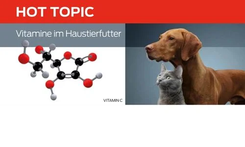 Vitamine im Haustierfutter