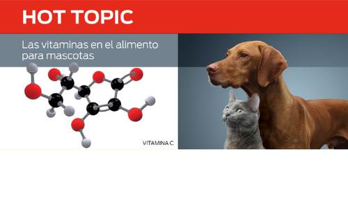 Vitaminas en Los Alimentos Para Mascotas