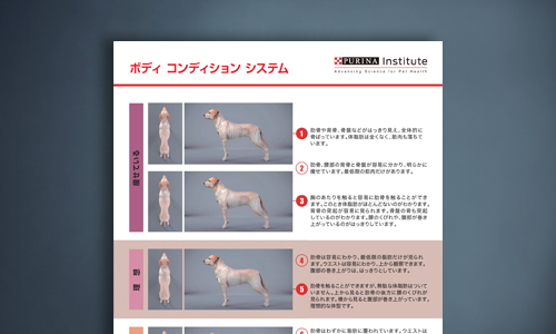 犬用ボディコンディションシステムシート